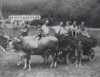 La famiglia contadina. Nella foto anche la famiglia Sterbauer, in villeggiatura a Brinzio - anno 1948