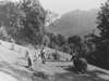 Il lavoro nei campi: la fienagione - anno 1952