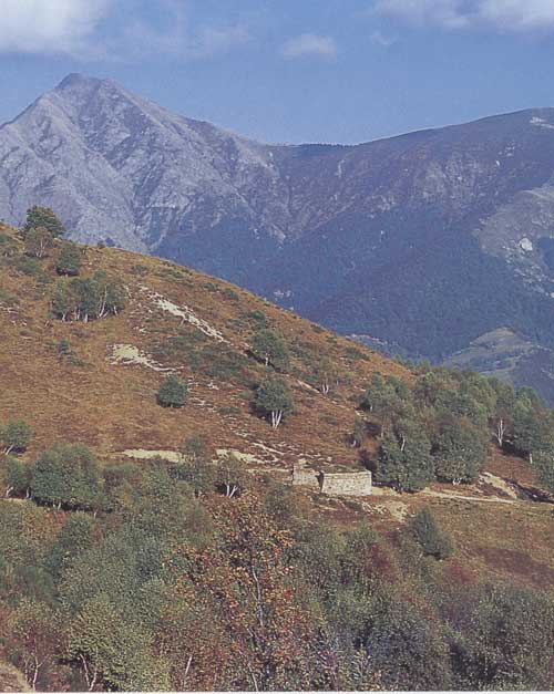 Panorama sull'alta Valveddasca